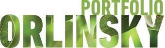 Orlinsky Portfolio